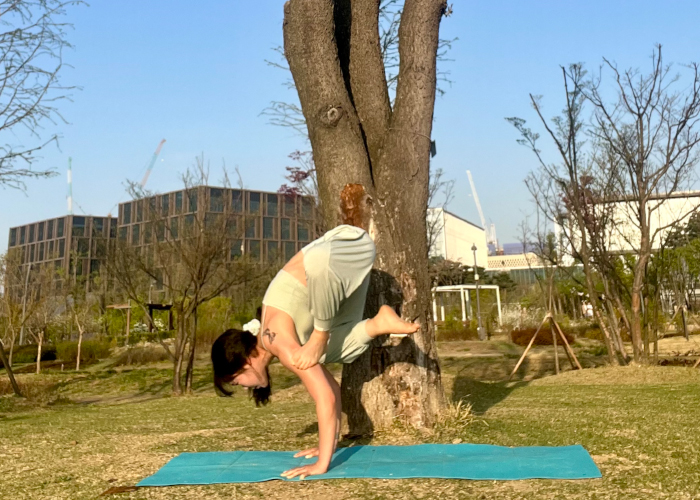 아메리카요가